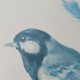 Blue tit in charcoal on board under glass, signed