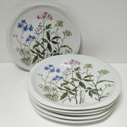 Six flat plates Alcée model porcelain Bernardaud Limoges floral decoration