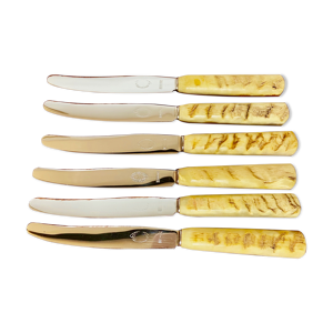 Ensemble de 6 couteaux