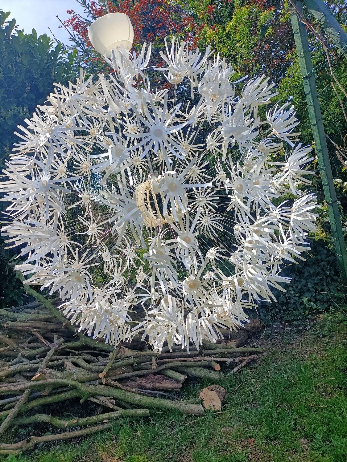 Dandelion pendant light