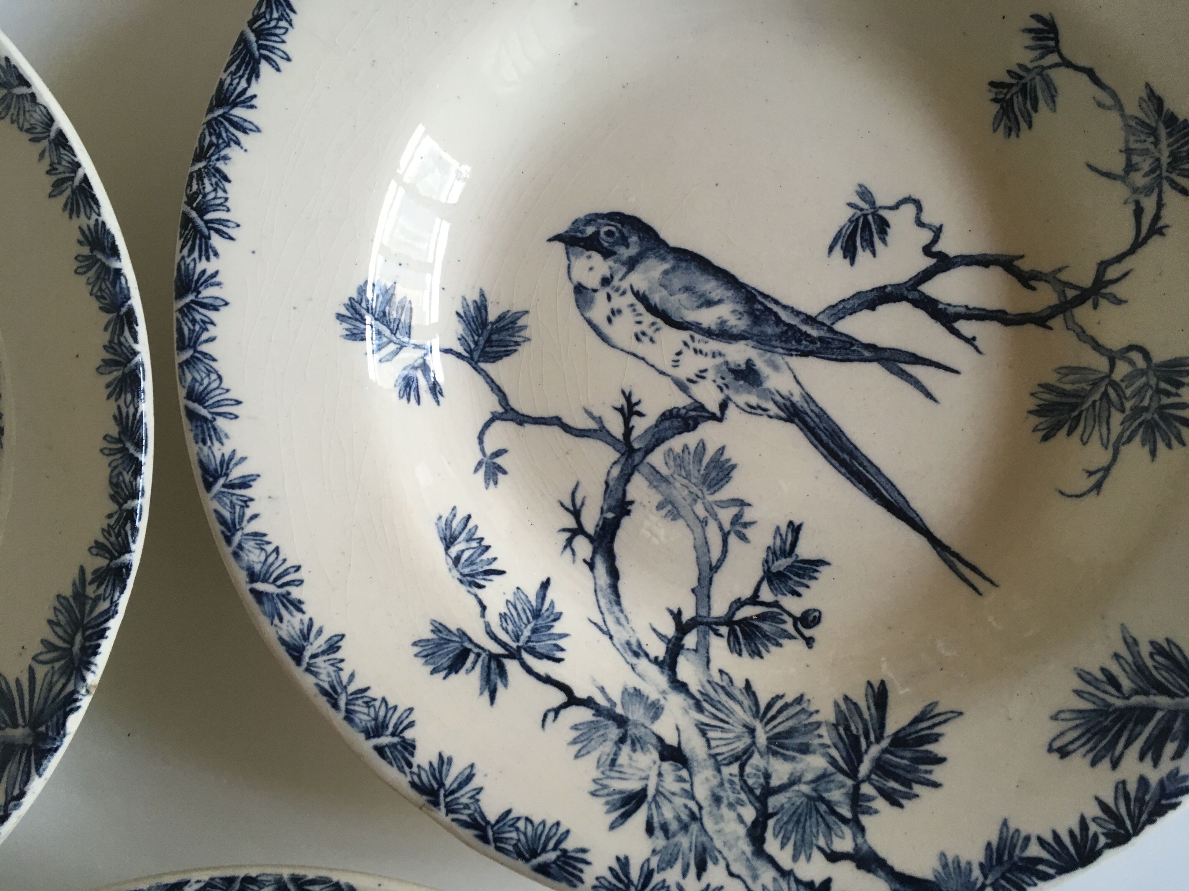 Gien's hollow earthenware plates 19th Provençal bird décor