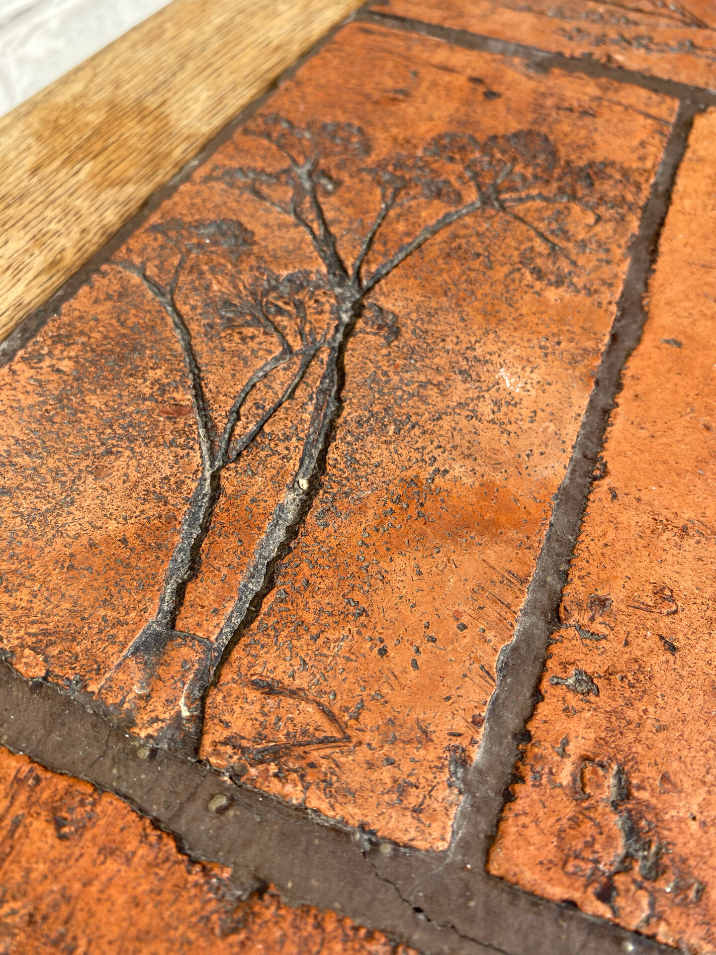 Herbarium coffee table P. Garnier