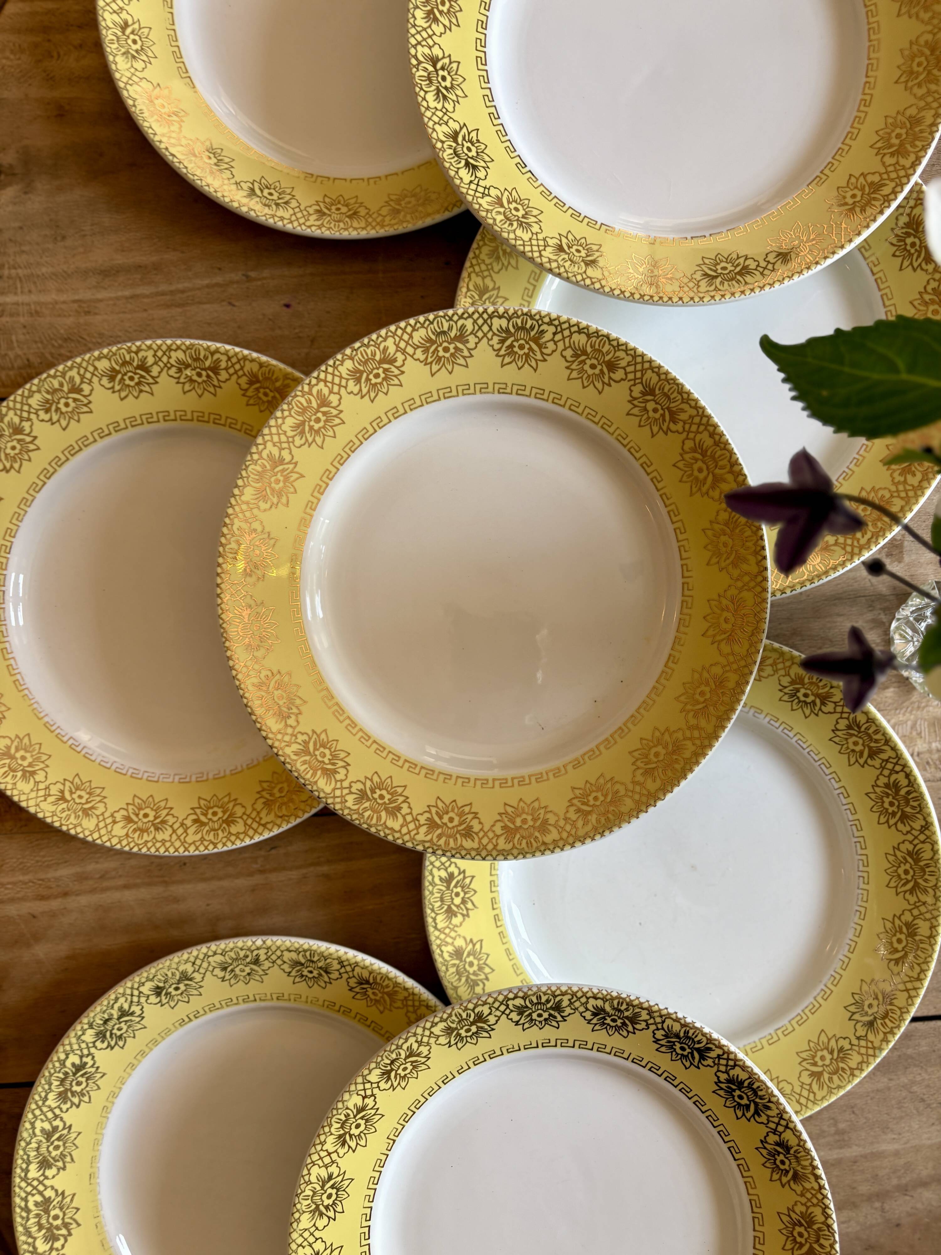 Set of 10 vintage white, yellow and gold dinner plates