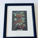 Framed lithograph of cherries