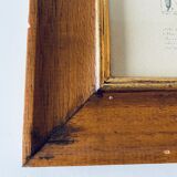 Framed botanical poster