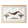 Poster about seahorses, sea dragons and trumpetfish