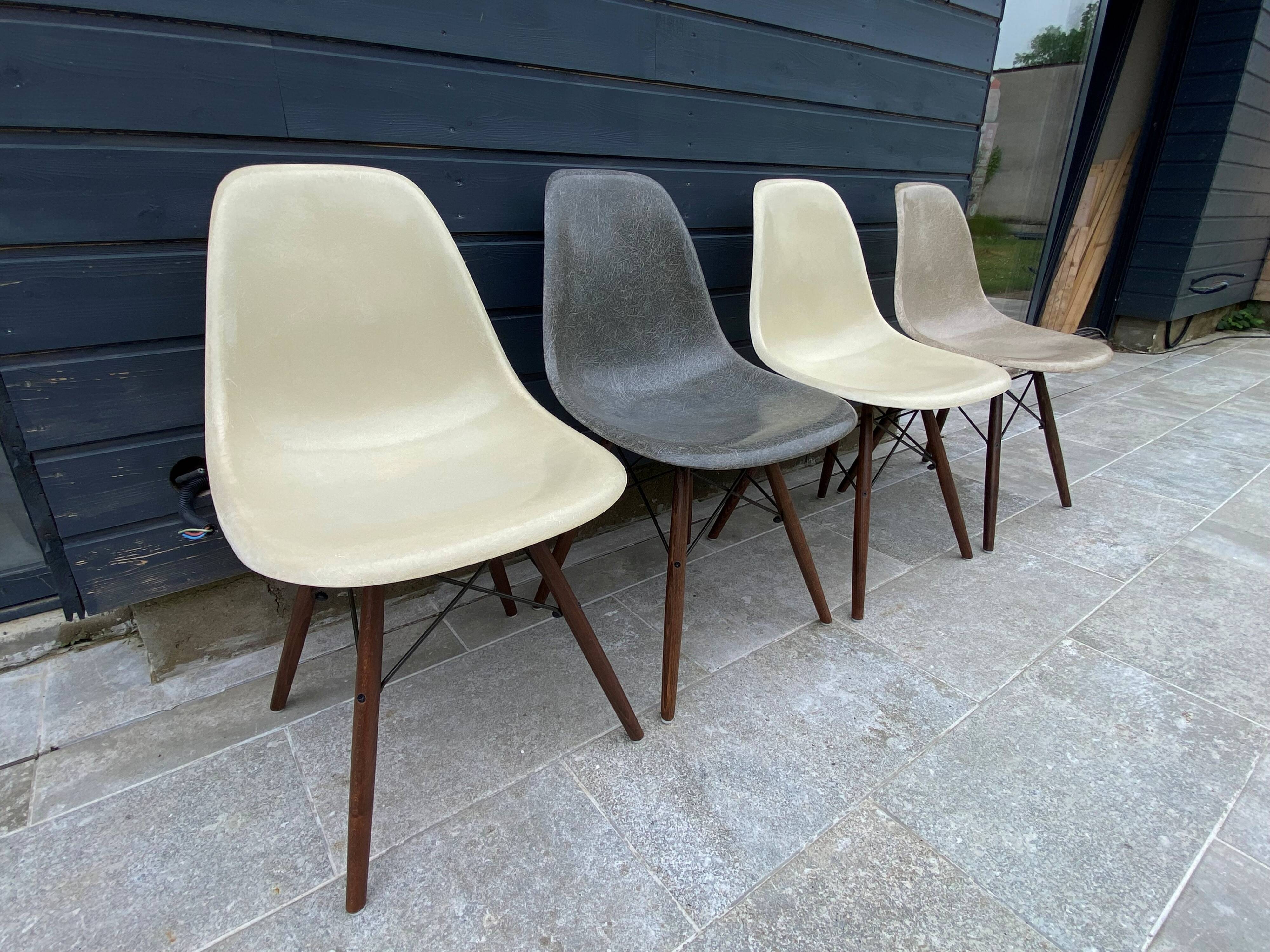 Lot of 4 DSW chairs in walnut fiber by Eames Herman Miller, vintage