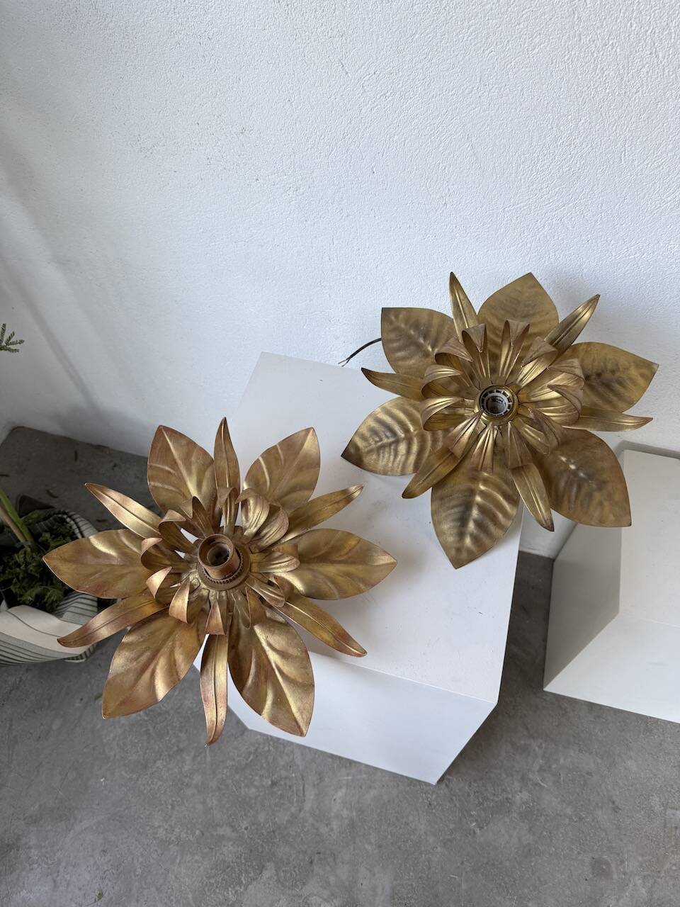Pair of gold metal flower wall lights