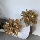 Pair of gold metal flower wall lights