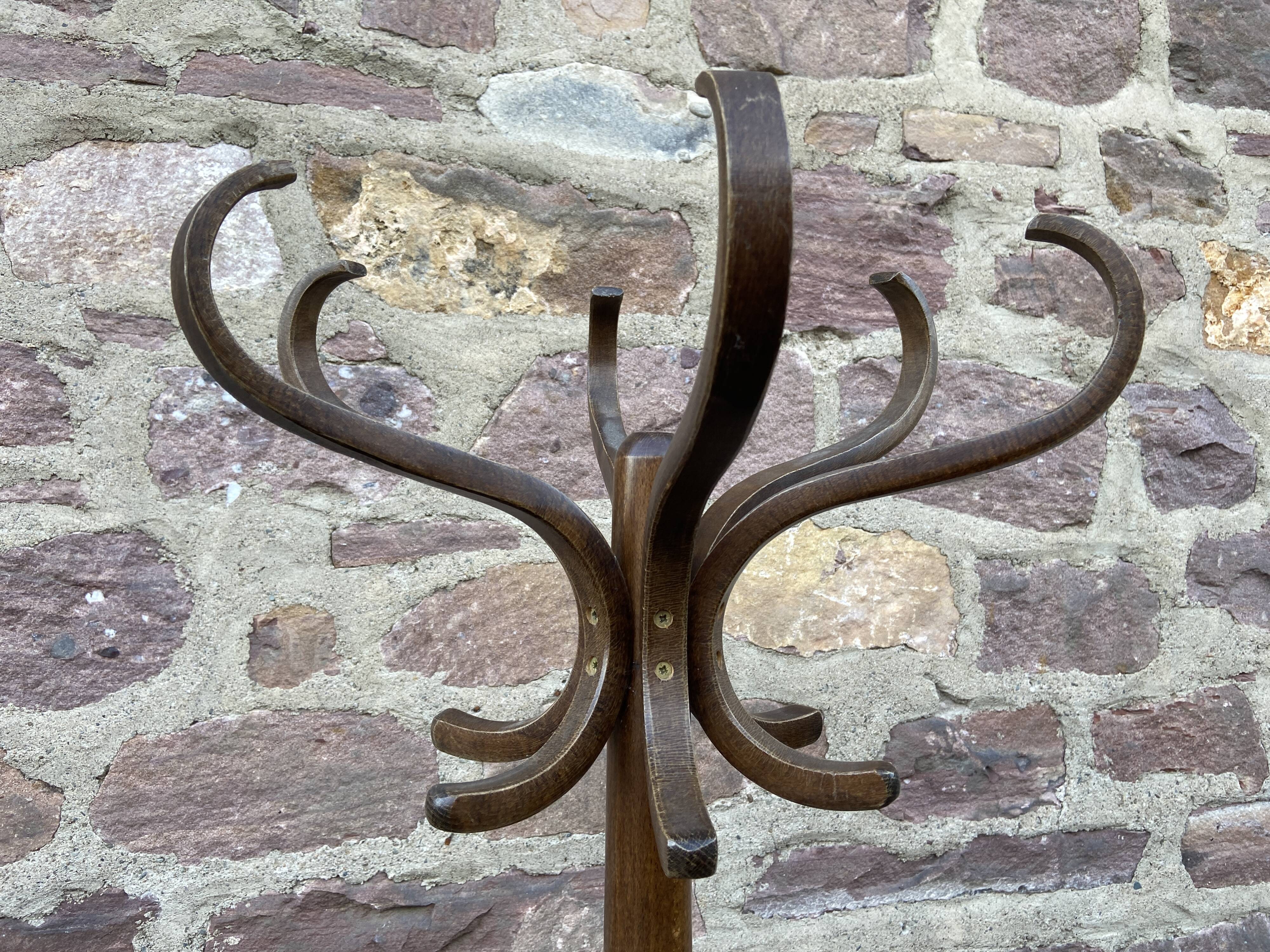 Vintage parrot standing coat rack 1980 curved wood