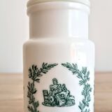 Set of 2 Victorian style opaline apothecary pharmacy jars