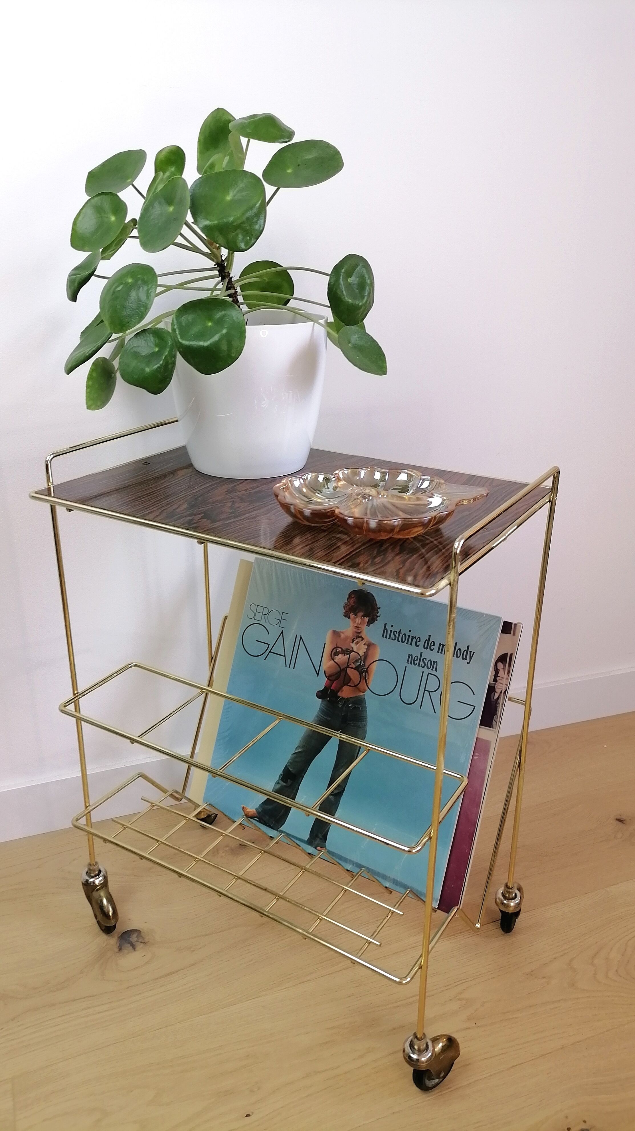 Vintage vinyl door service