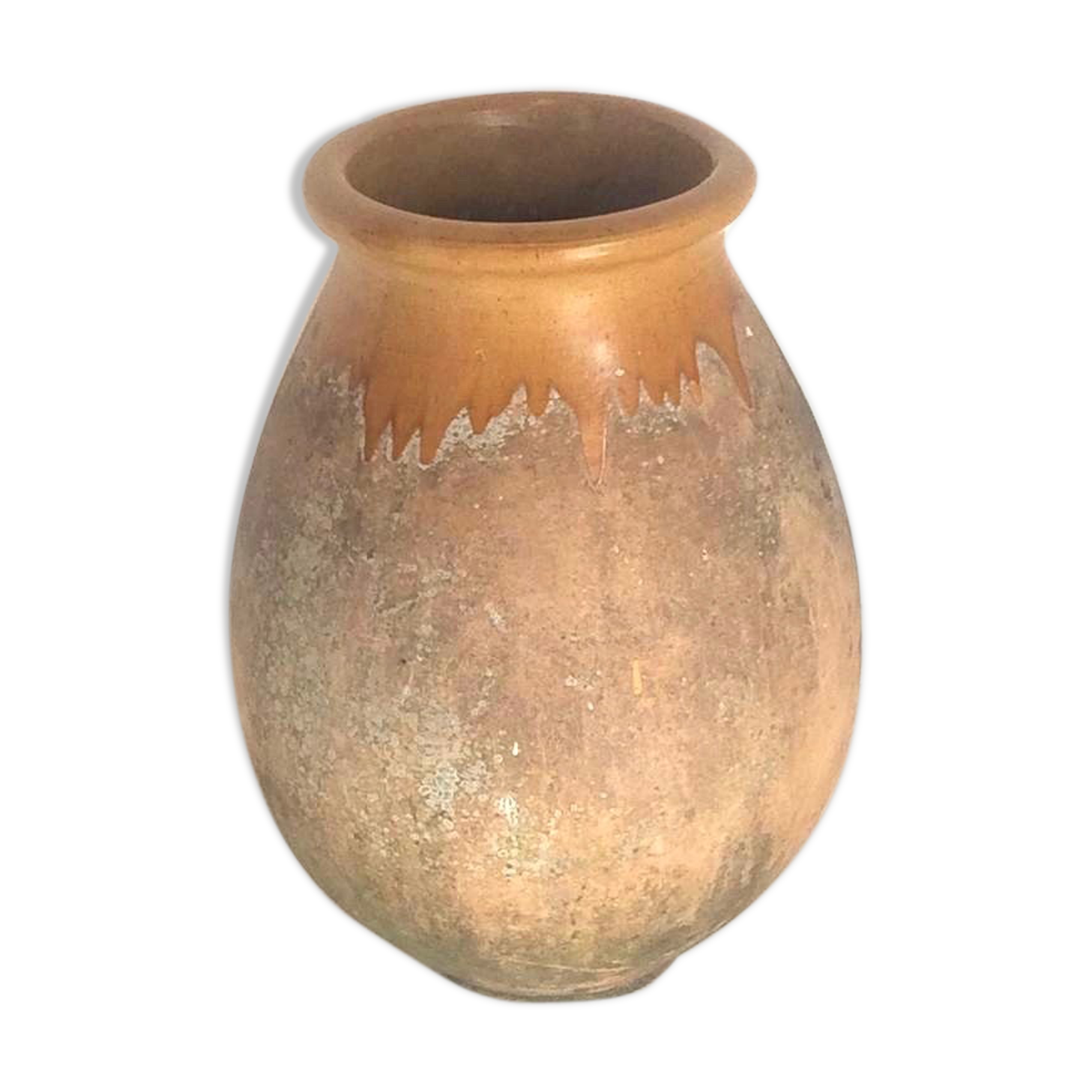 Biot Jar