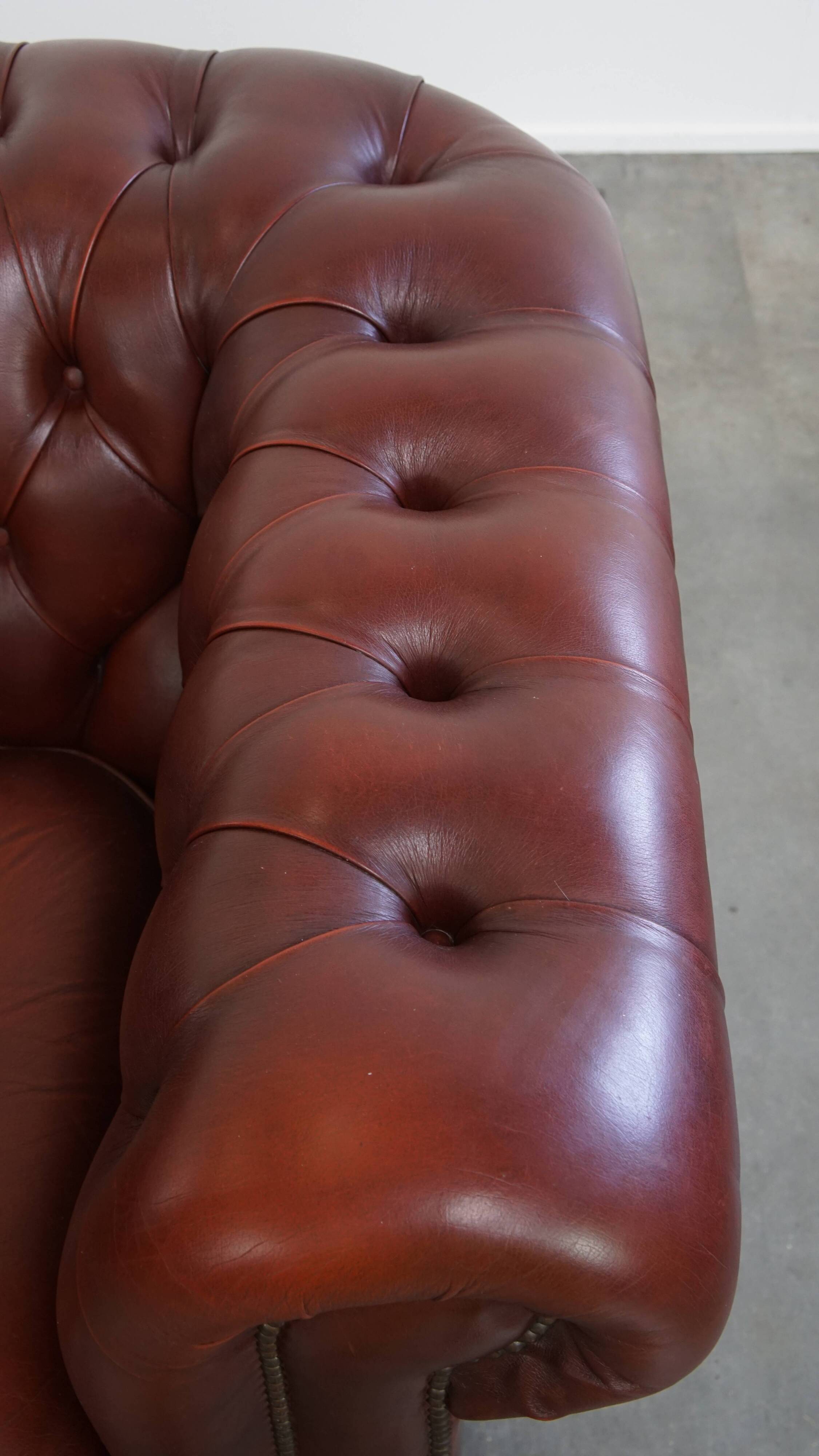 English Cowhide Leather Chesterfield Armchair