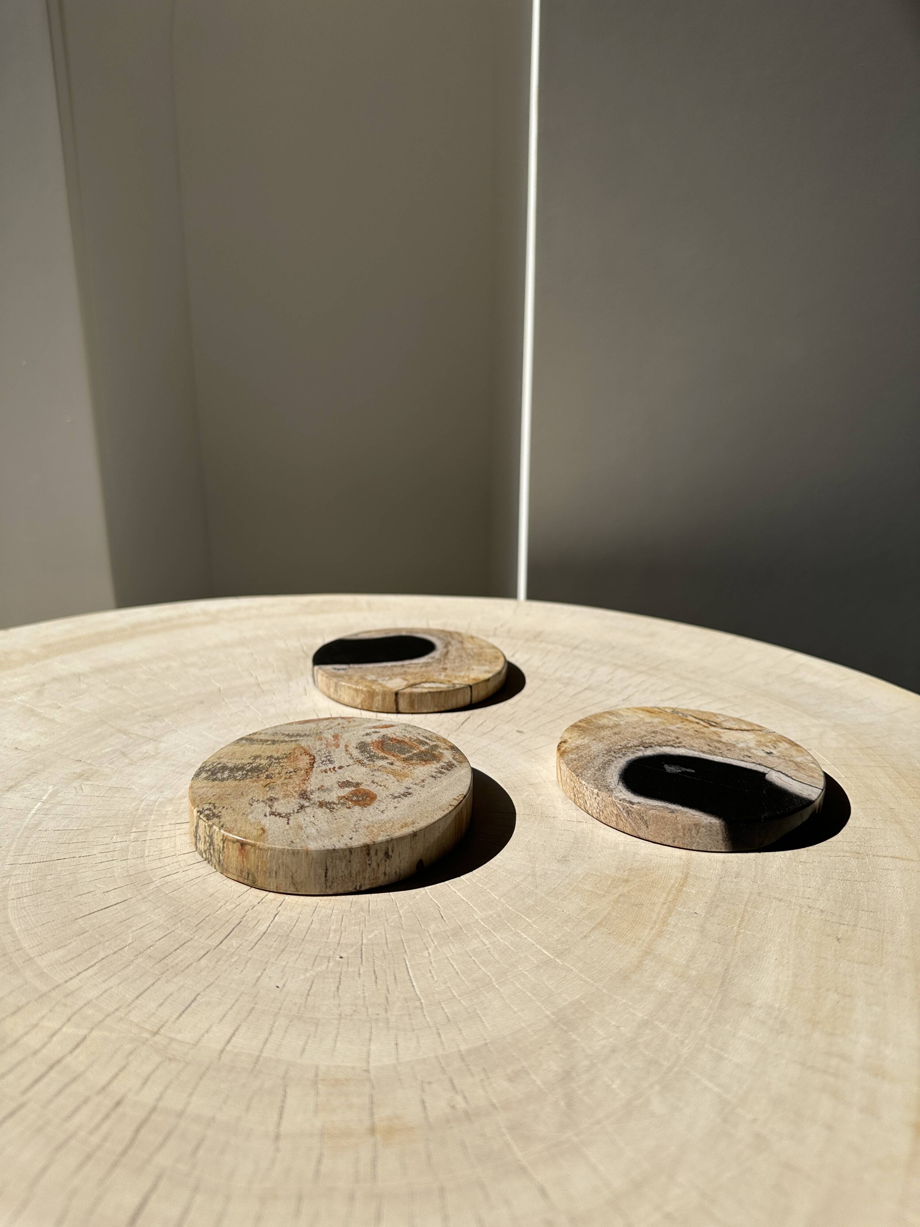 Set of 3 fossilized wood coasters (clear)