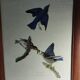 set of 3 reproductions of old illustrations by John James Audubon