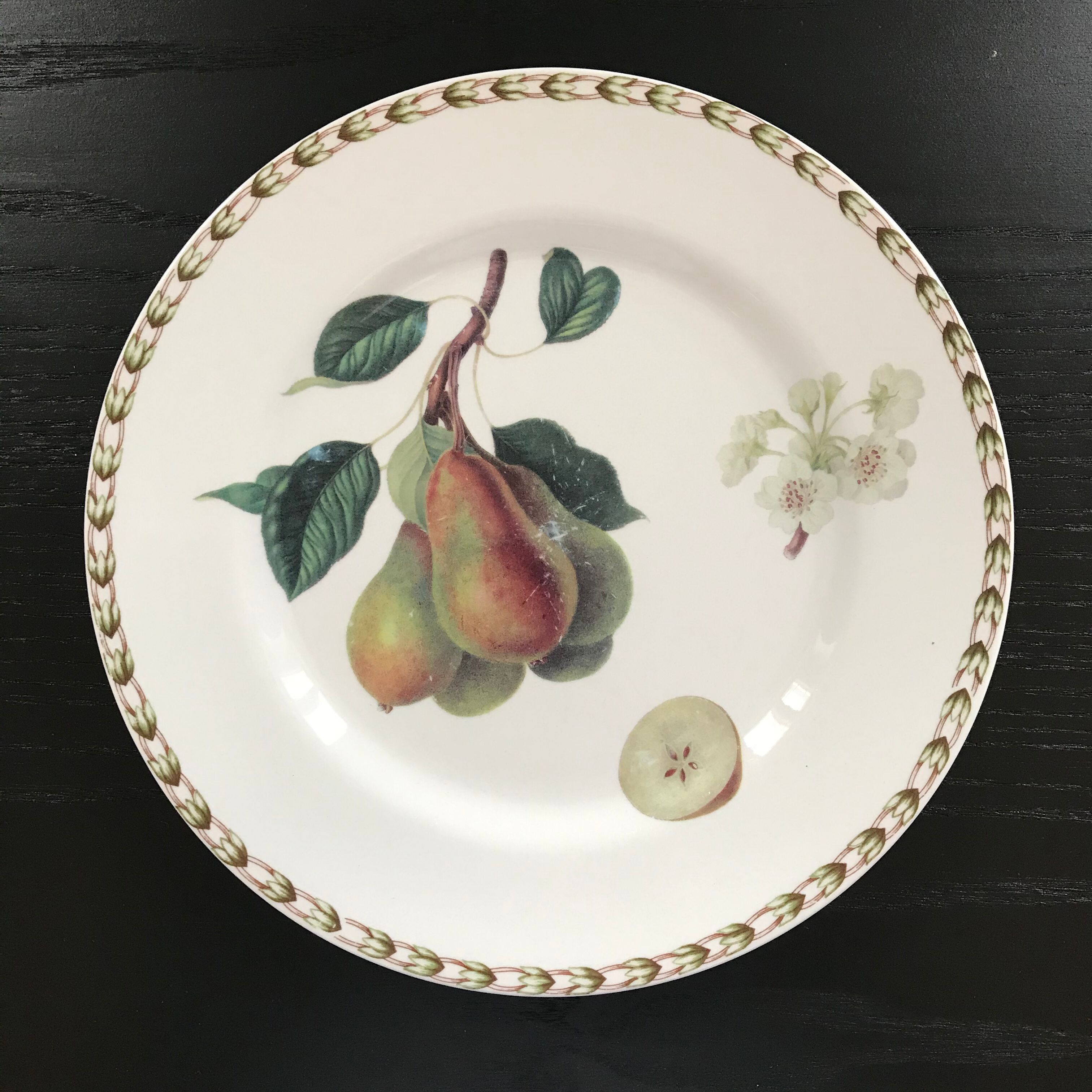 Lot of 6 plates botanical decoration