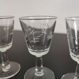 Verres apéritifs, digestifs tulipe gravé anciens