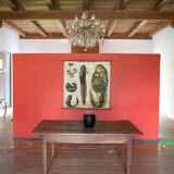 Affiche vintage du début du 20e siècle Paul Pfurtscheller zoologiques mur graphique "têtard" 1910