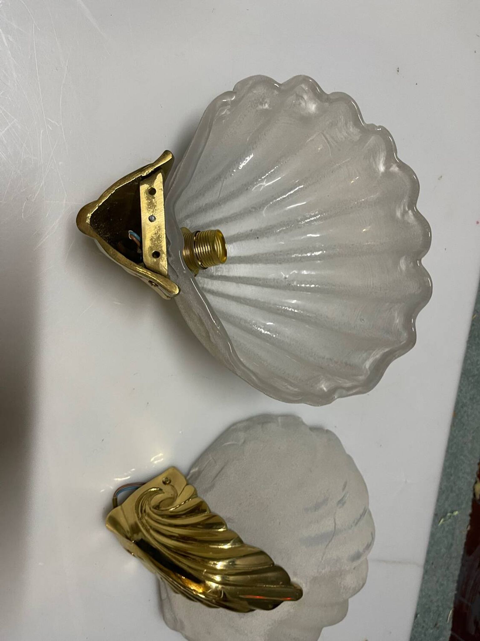 Appliques en verre de Murano en forme de coquillage, ensemble de 2