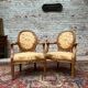 Pair of armchairs medallion in natural wood Louis XVI style