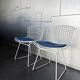 Pair of dining chairs 420 by Harry Bertoia for Knoll International, 1970s.