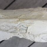 Plaster cast of a blank face