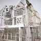 Great aviary bird cage nineteenth century