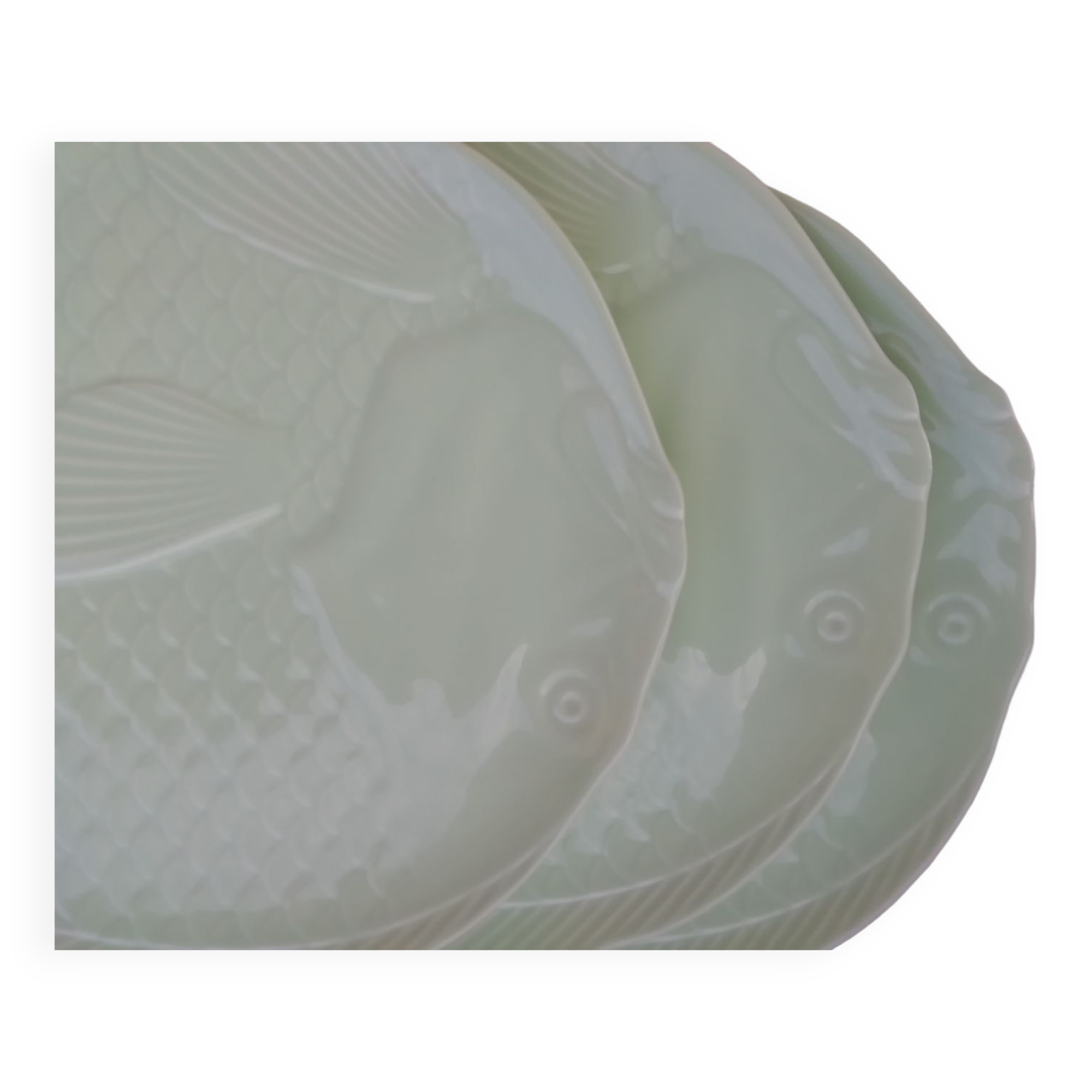 Fish plates