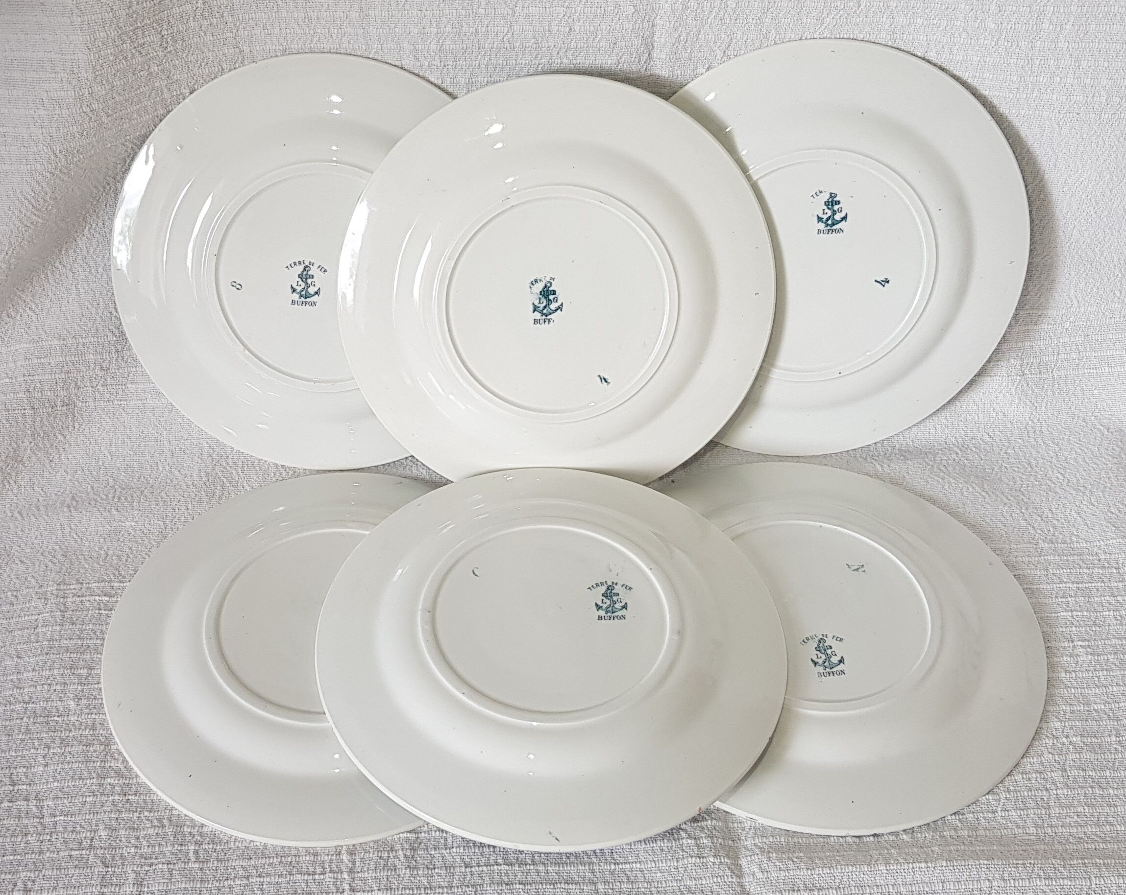 6 flat plates made of Clairfontaine earthenware buffon model in iron earth