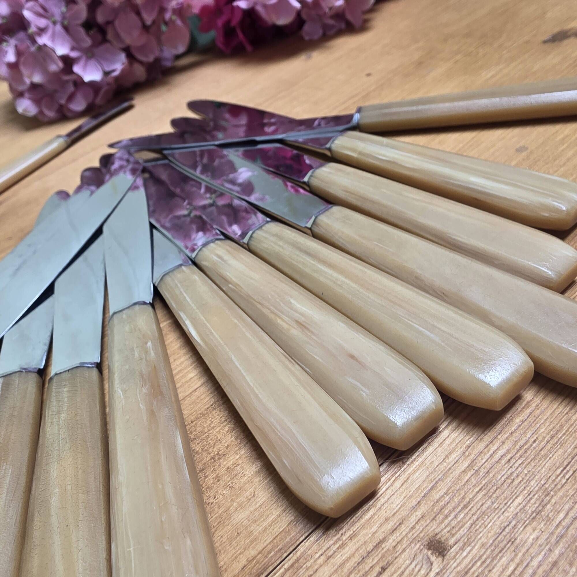 12 vintage knives in a box + 1 butter knife