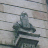 Bust