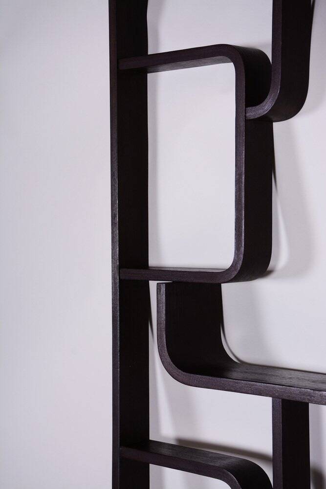Mid-Century Room Divider in Dark Brown Oak attributed to Ludvik Volak for Drevopodnik Holesov, Former Czechoslovakia, 1960s