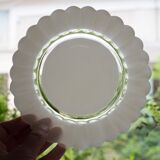 Set of 10 dessert plates flowers petals daisy Duralex Made in France 70s