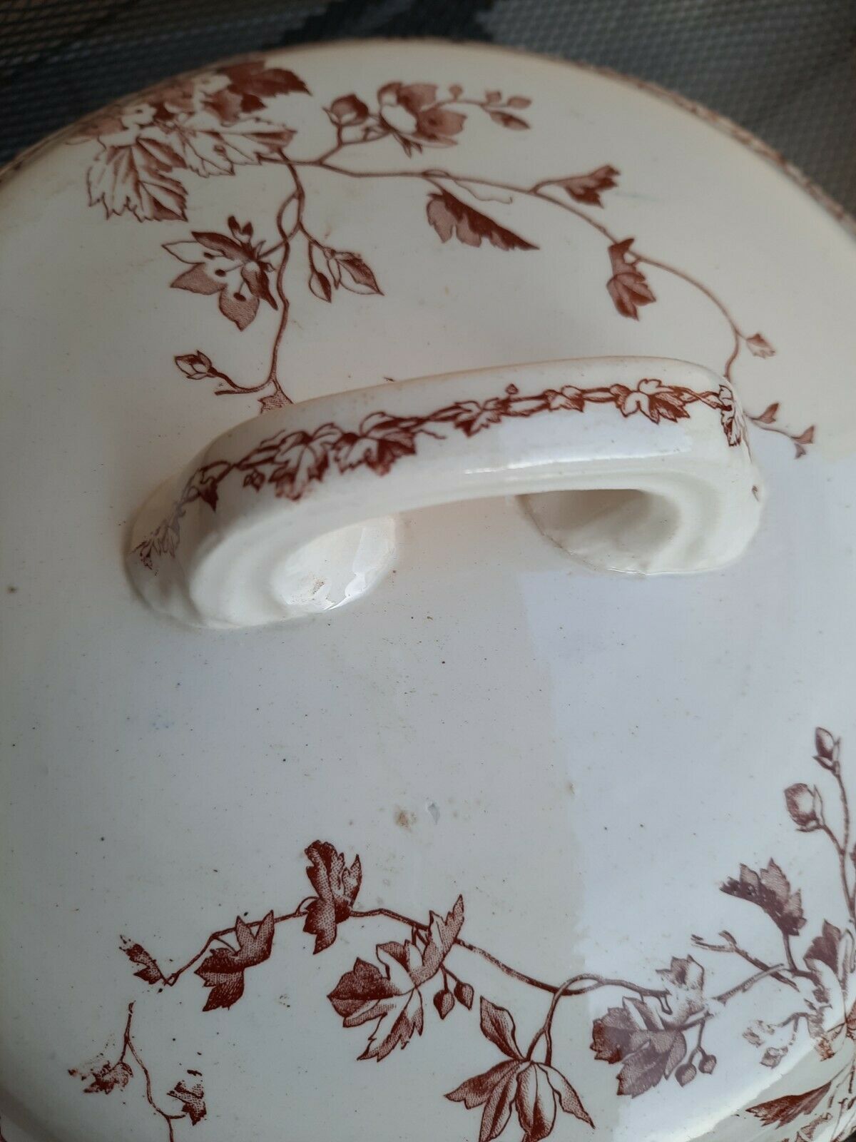 Soupière Terre de Fer model Spring