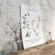 Botanical plank herbal tea of catarrh