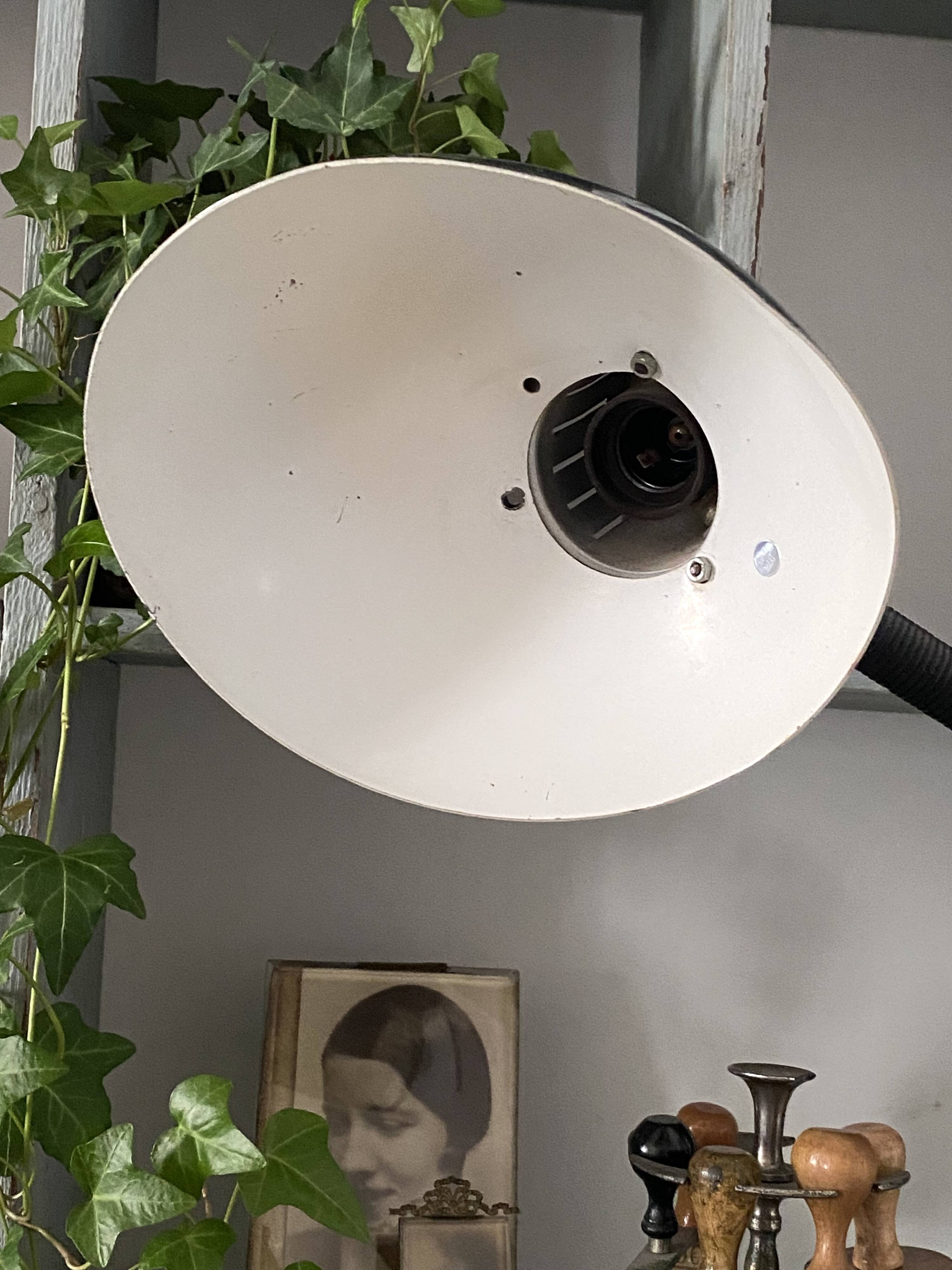 Articulated desk lamp