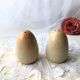 Salt shaker pepper glazed stoneware egg shape