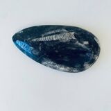 Vide poche marbre et orthoceras