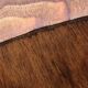4 vintage Baumann bistro chairs, gentian model, 50/60