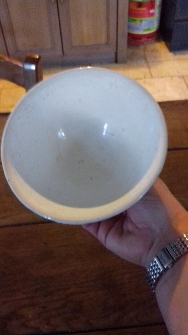 Old green and white digoin brand bowl