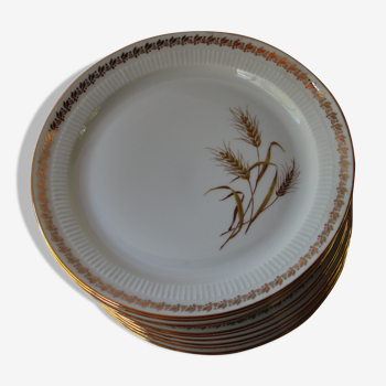 12 Wheat-patterned dessert plates - gold edged - pl -porcelaine vintage