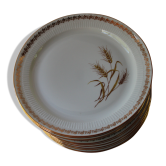 12 Wheat-patterned dessert plates - gold edged - pl -porcelaine vintage