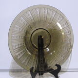 Dish
