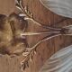 Art Deco/Art Nouveau shell and bronze wall lamp
