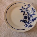 Lot 8 flat plates badonvillersflora model
