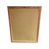 John Gould: Derby Parakeet Color Lithograph: Psittacula