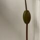 Lampe en ceramique faite main