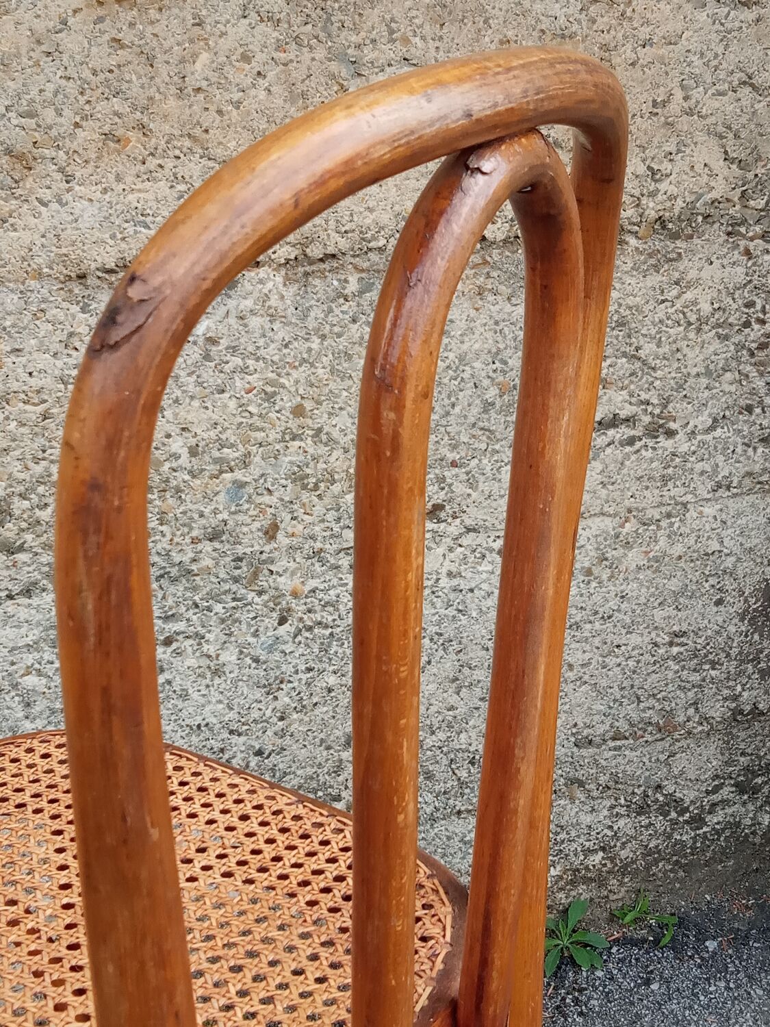 Pair of caned Fischel chairs, circa 1900