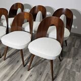 Dining Chairs by Antonin Suman, 1960s, Set of 6